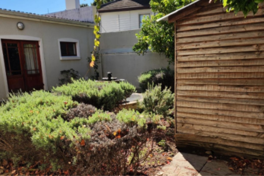 To Let 0 Bedroom Property for Rent in Claremont Upper Western Cape